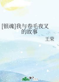 [銀魂]我與卷毛夜叉的故事