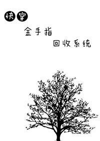 金手指回收系統[快穿]