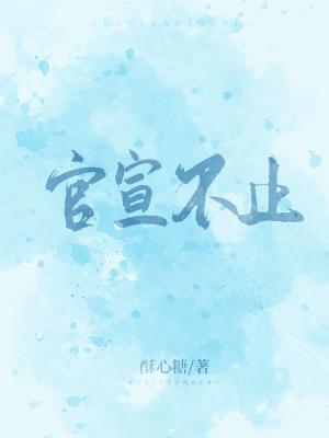 官宣不止