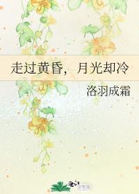 走過黃昏，月光卻冷