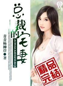 總裁的宅妻