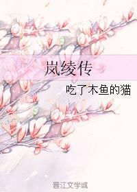 岚绫傳