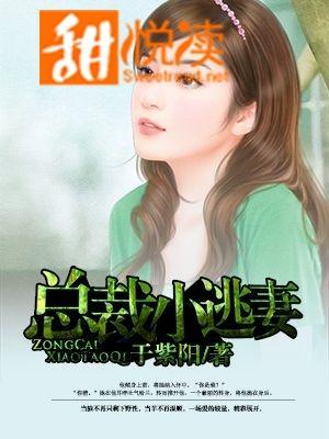 總裁小逃妻