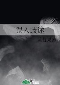 誤入歧途