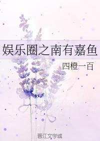 韓娛之南有嘉魚