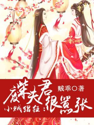 小賊猖狂：廢柴夫君很嚣張