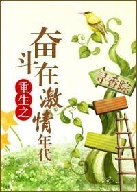 重生之奮鬥在激情年代