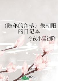 （隐秘的角落）朱朝陽的日記本