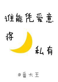 誰能憑愛意将月亮私有