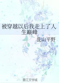 被穿越以後我走上了人生巅峰