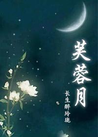 芙蓉月