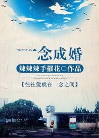 一念成婚