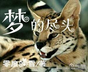 貓武士夢的盡頭