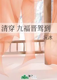 清穿 九福晉駕到