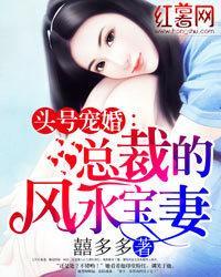 頭號寵婚：總裁的風水寶妻