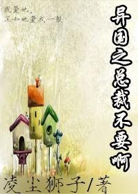 異國之總裁不要啊（gl）