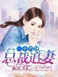 總裁追妻三十六計