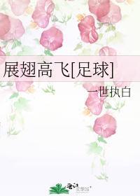 展翅高飛[足球]