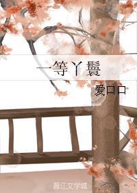 一等丫鬟
