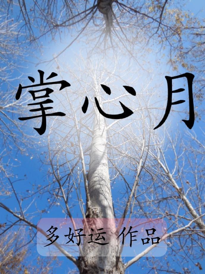 掌心月