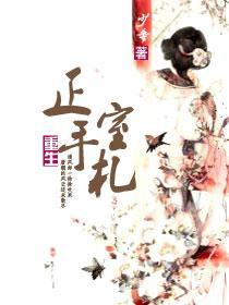 重生正室手劄（清）