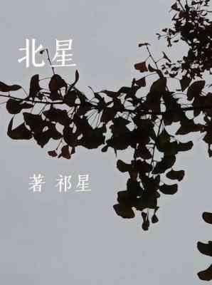 北星