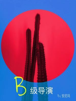 B級導演