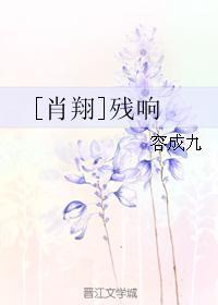 [肖翔]殘響