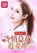 孽愛豪門：冷情總裁追妻難