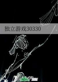 獨立游戲30330