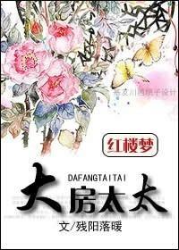 紅樓之大房太太
