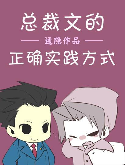 總裁文的正确實踐方式