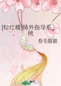 [綜紅樓]場外指導系統