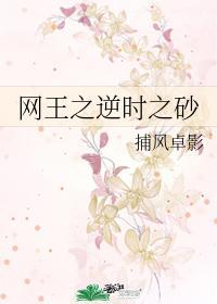 網王之逆時之砂