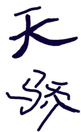 落魄天驕