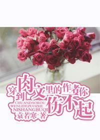穿到肉文裏的作者你傷不起