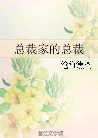 總裁家的總裁