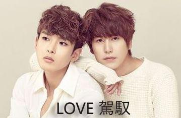 LOVE 駕馭