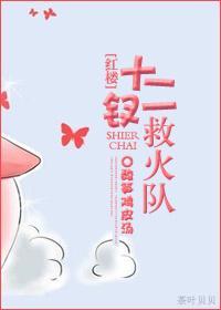 [紅樓]十二釵救火隊