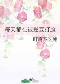 每天都在被愛豆打臉