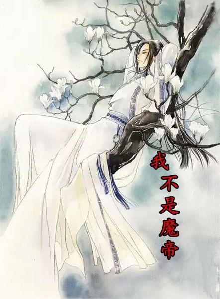 我不是魔帝