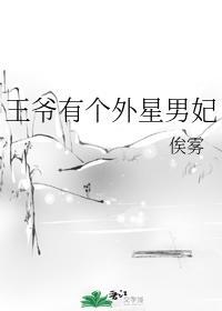 王爺有個外星男妃