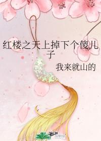 紅樓之天上掉下個傻兒子