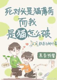 死對頭是貓薄荷而我是貓怎麽破[娛樂圈]