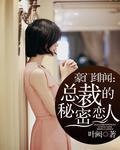 豪門緋聞：總裁的秘密戀人