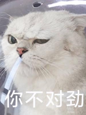搞到真愛了