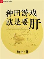 種田游戲就是要肝