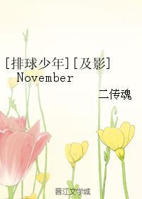 [排球少年][及影]November