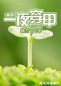 [機甲]一夜穿甲
