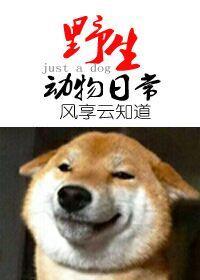 野生動物的日常